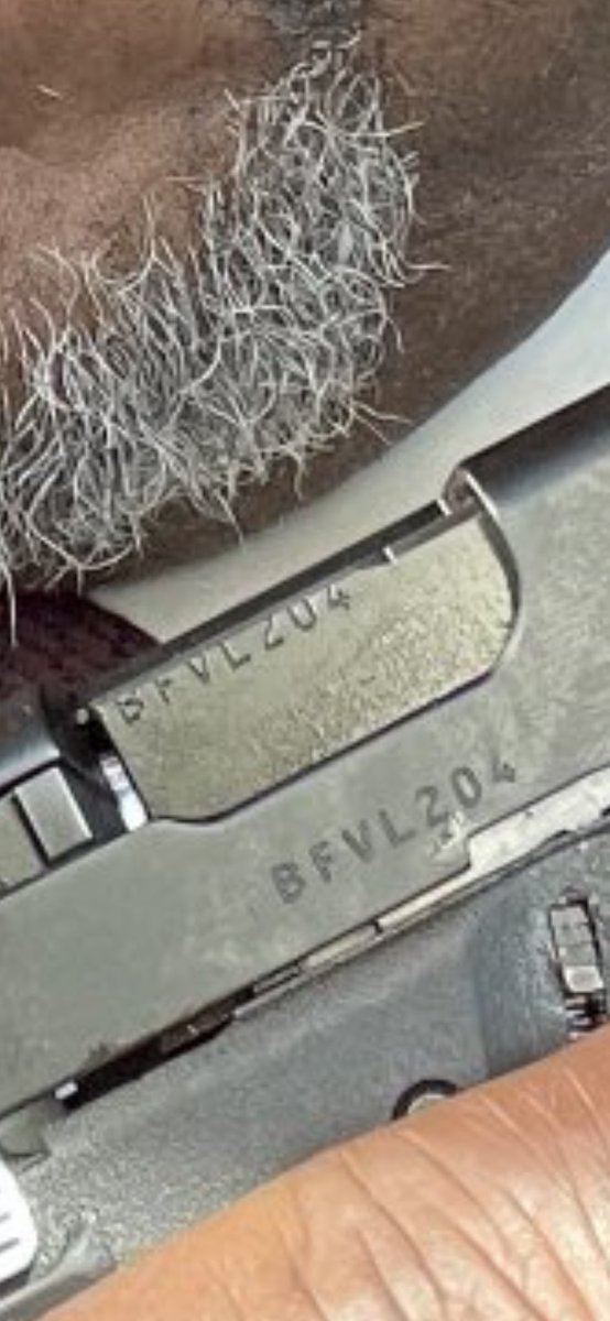 BattlecockActual tweet media