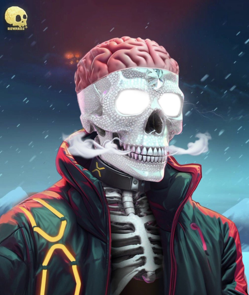 Steve ☀️☀️ tweet media