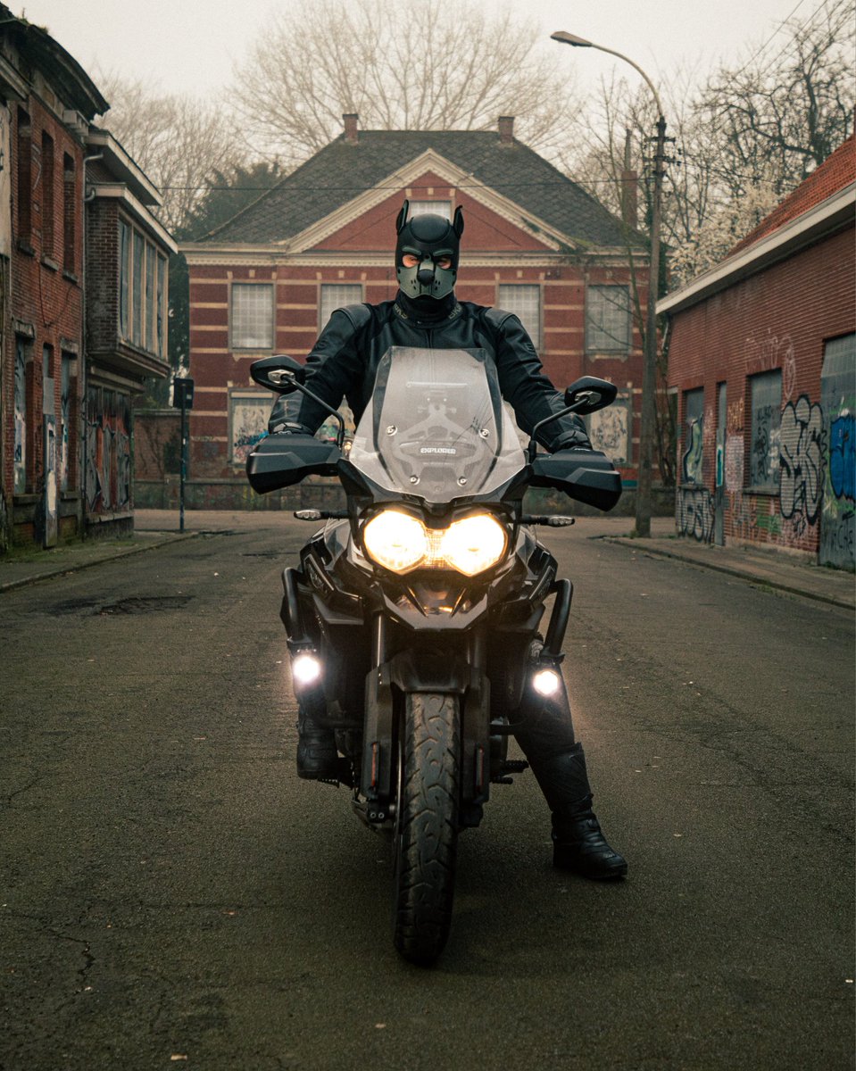 Bad Wolf Photography tweet media