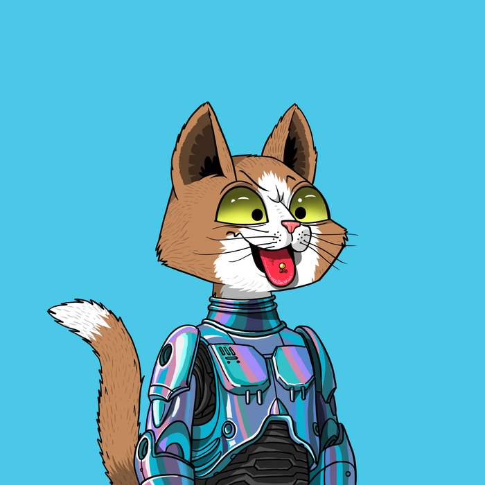 Jay B 😻🚀 tweet media