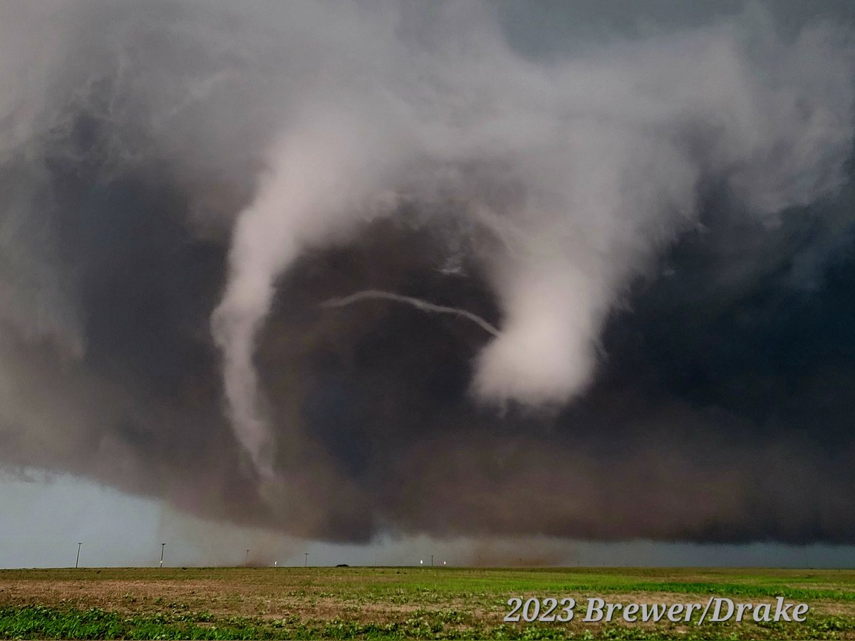 Simon Brewer tweet media