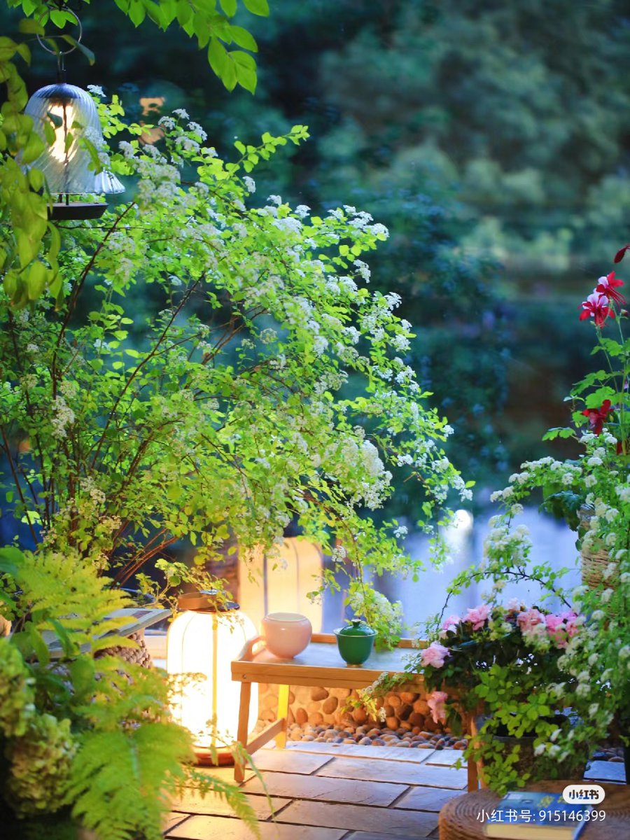 michele Csn tweet media