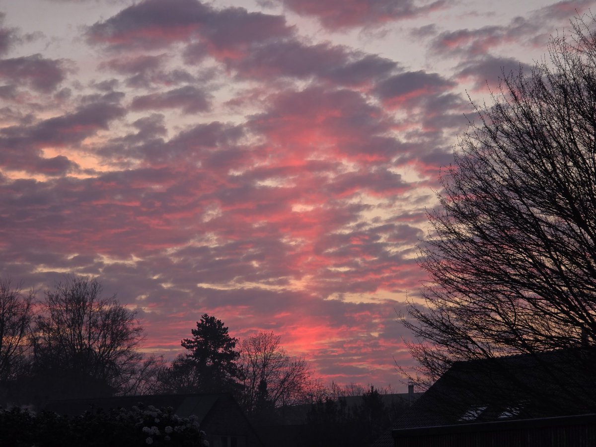 van_ronsse's tweet photo. The sunrise with its light pillar was breathtaking today. It was as if the sun itself reminded us that her rays now fall perpendicular to the equator. 💫

#spring #sunrise #photography #Belgium https://t.co/pssMMoSx6z