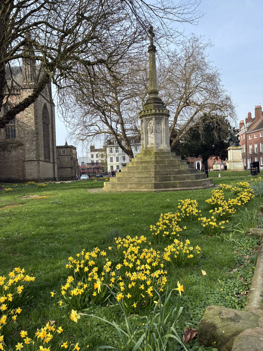 Tom Jameson 🐝 tweet media