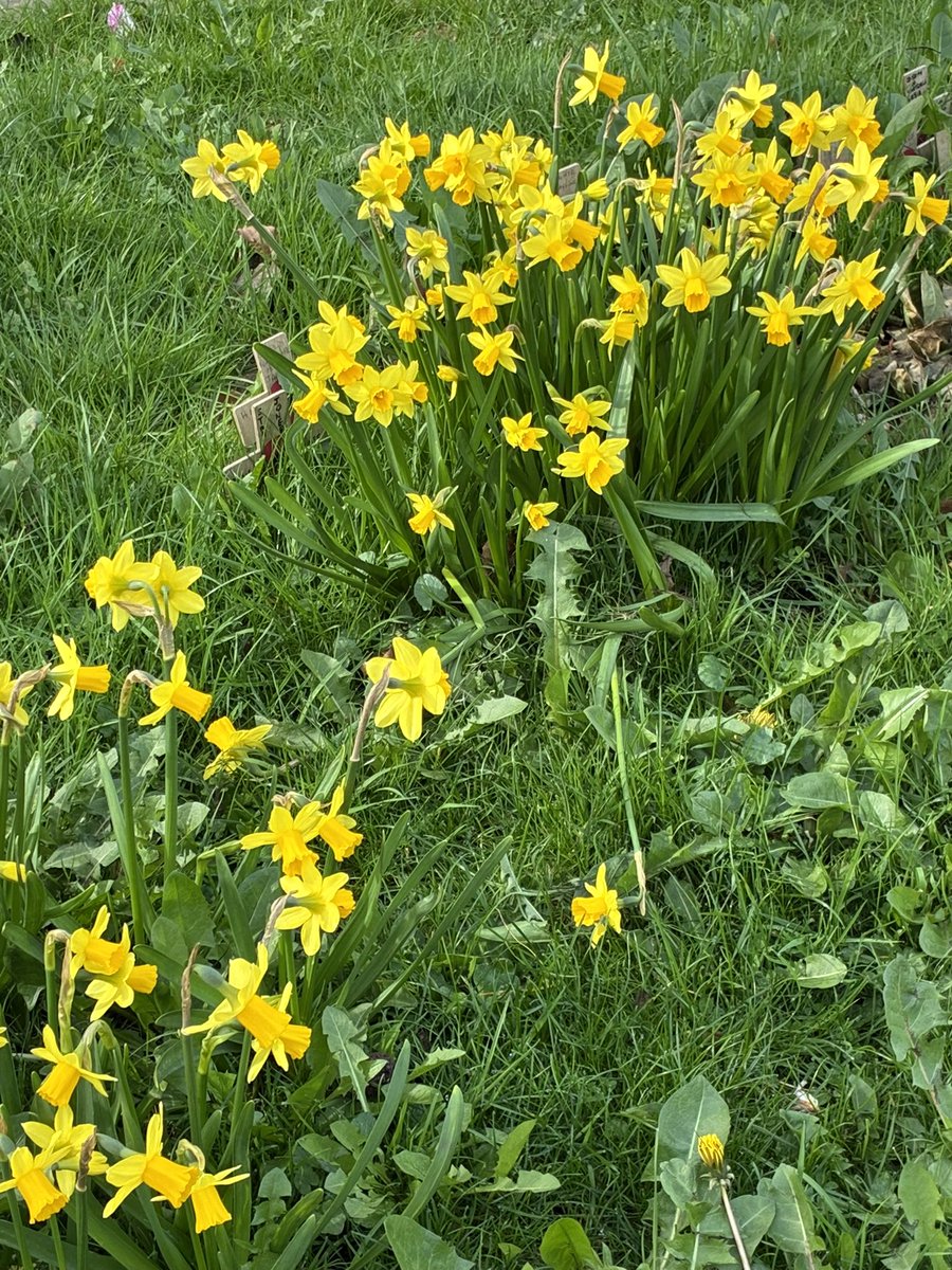 Tom Jameson 🐝 tweet media