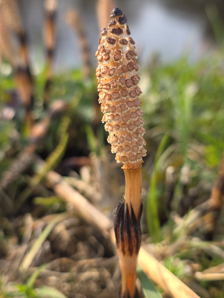 respecting nature tweet media