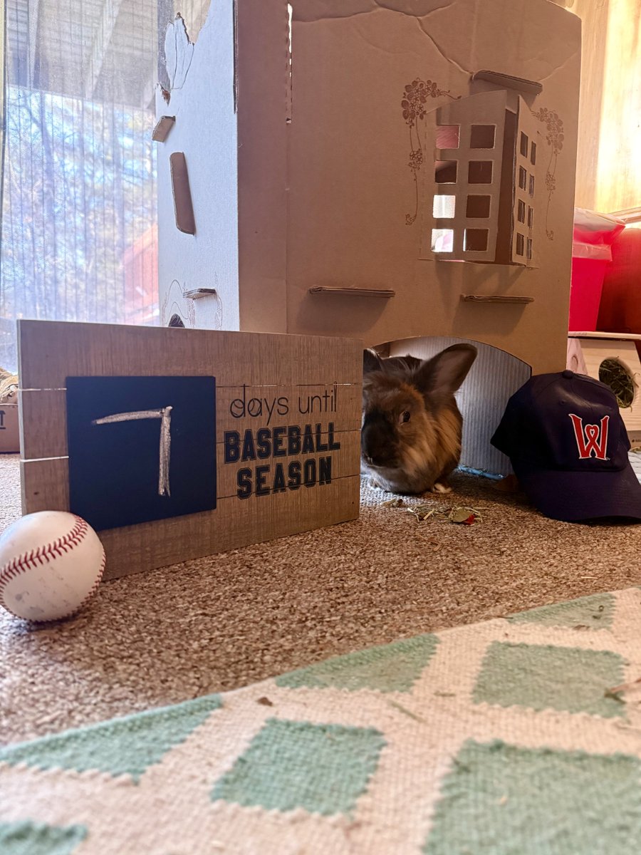 Worcester Red Sox tweet media