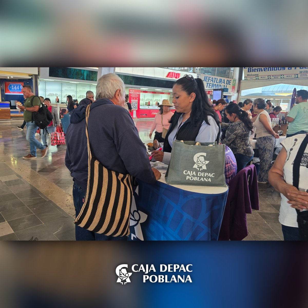 CajaDepac's tweet photo. 📸 ¡Así se vive la Expo Mujeres Poderosas en la CAPU!

En colaboración con Fundación ADO, nuestros socios emprendedores de Caja Depac Poblana te esperan con productos increíbles🧵✨

⏳ ¡Últimos 2 días! (Hoy-mañana)
🕙 10:00-18:00
📍 CAPU-Puebla

¡Checa la galería y visítanos! 👇 https://t.co/xYPd9IWG2c