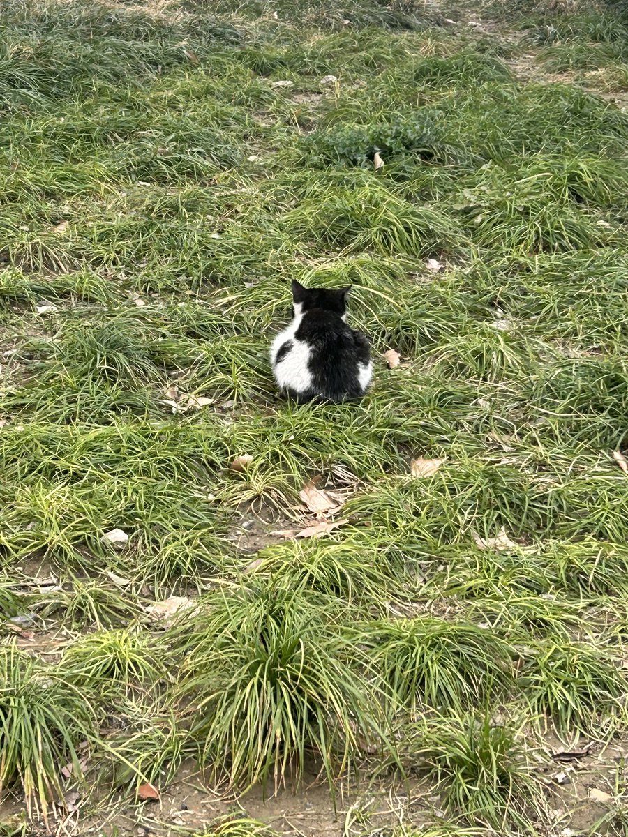 Alloy_CO2 tweet media