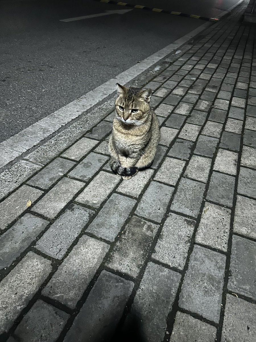 Alloy_CO2 tweet media