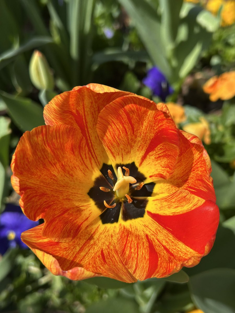 Michelle tweet media