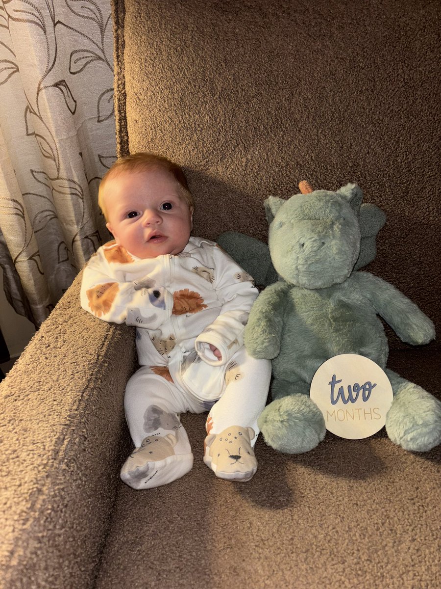 dani 🍉 tweet media