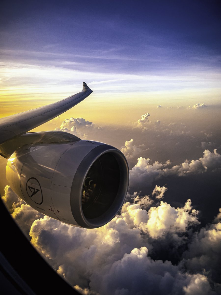 𝓓𝓪𝓷𝓷𝔂 𝓡𝓮:𝓩𝓔𝓡𝓞 tweet media