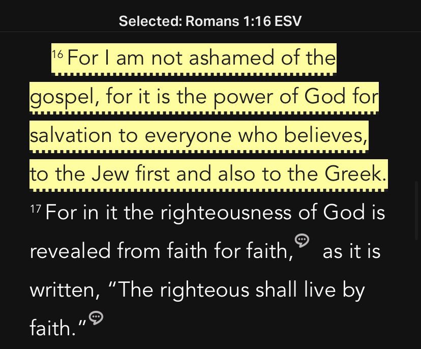 BigHeathenBear tweet media