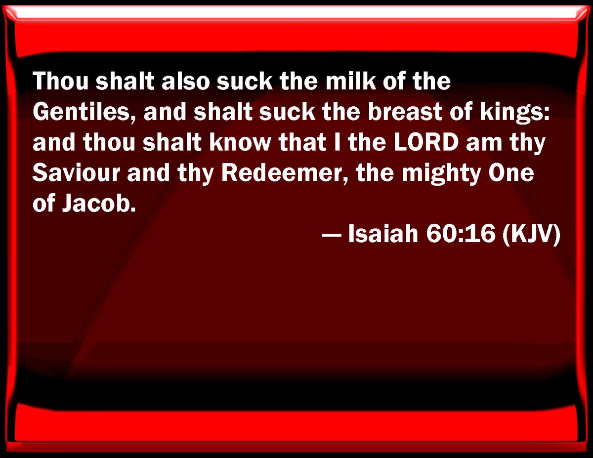 BigHeathenBear tweet media