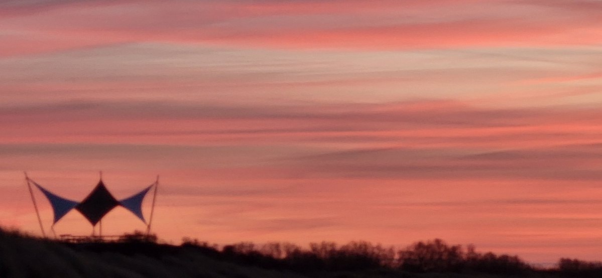 Mark Wolvenne tweet media