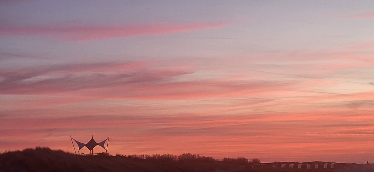 Mark Wolvenne tweet media