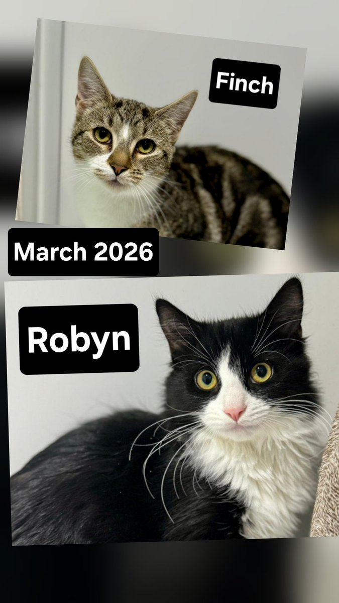 Greenacres Rescue tweet media