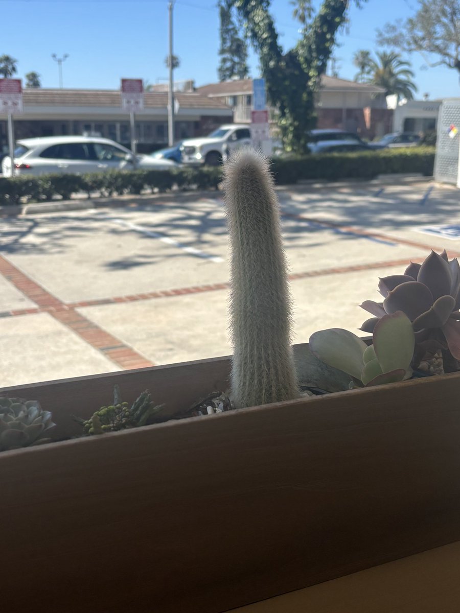 sly🍏 MIMI AND SAM MONTH tweet media