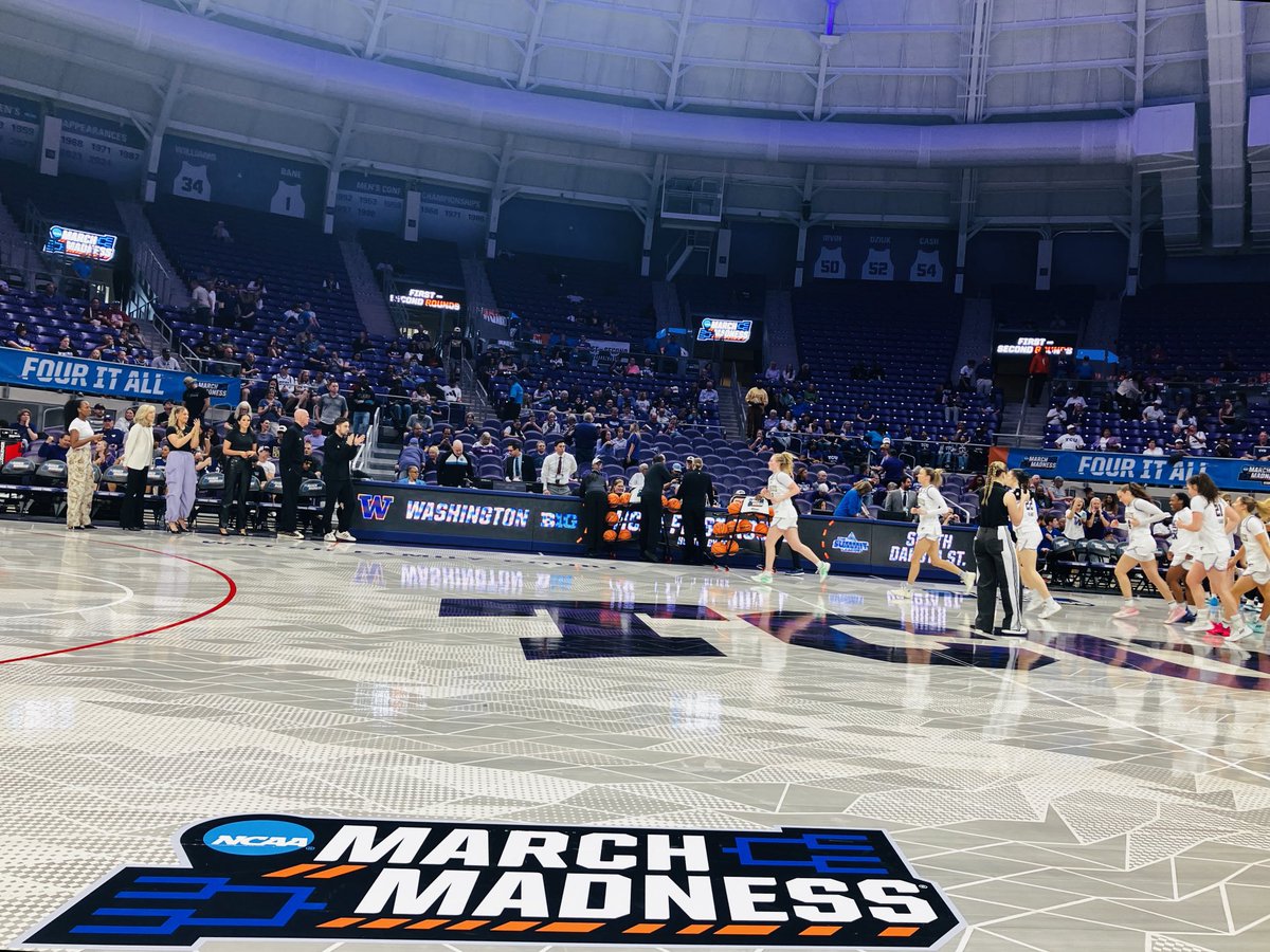 Percy Allen tweet media