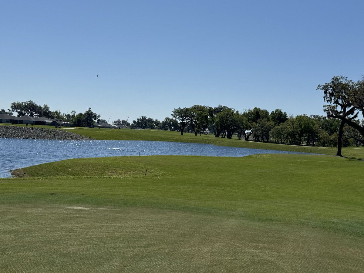 BT’s collection tweet media