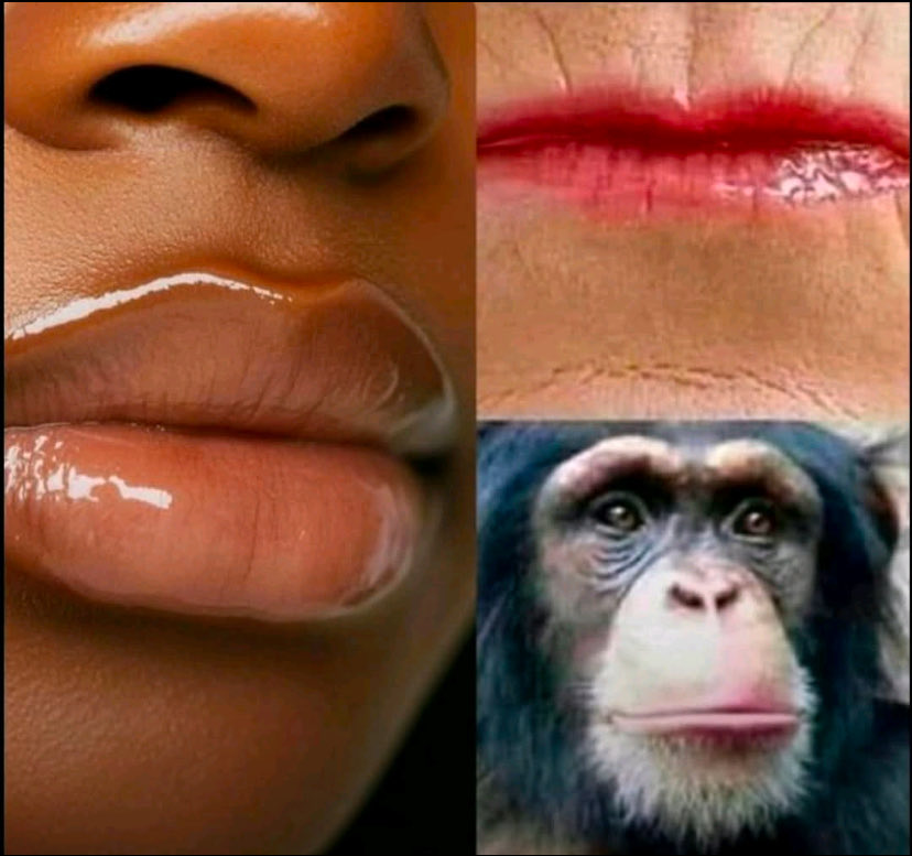 NotDepressed tweet media