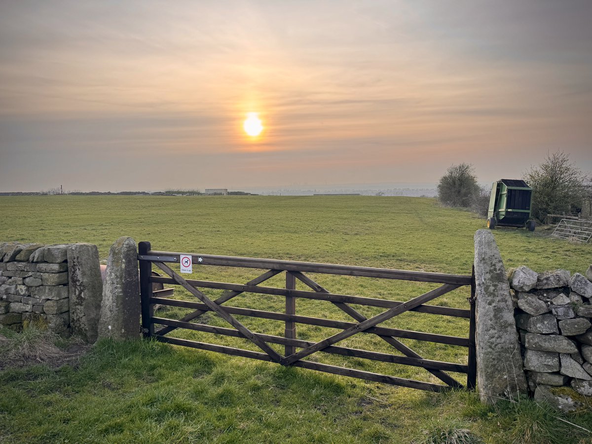 Dr Peter Weeks tweet media