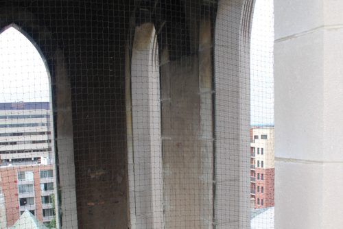 Specifier Mag tweet media