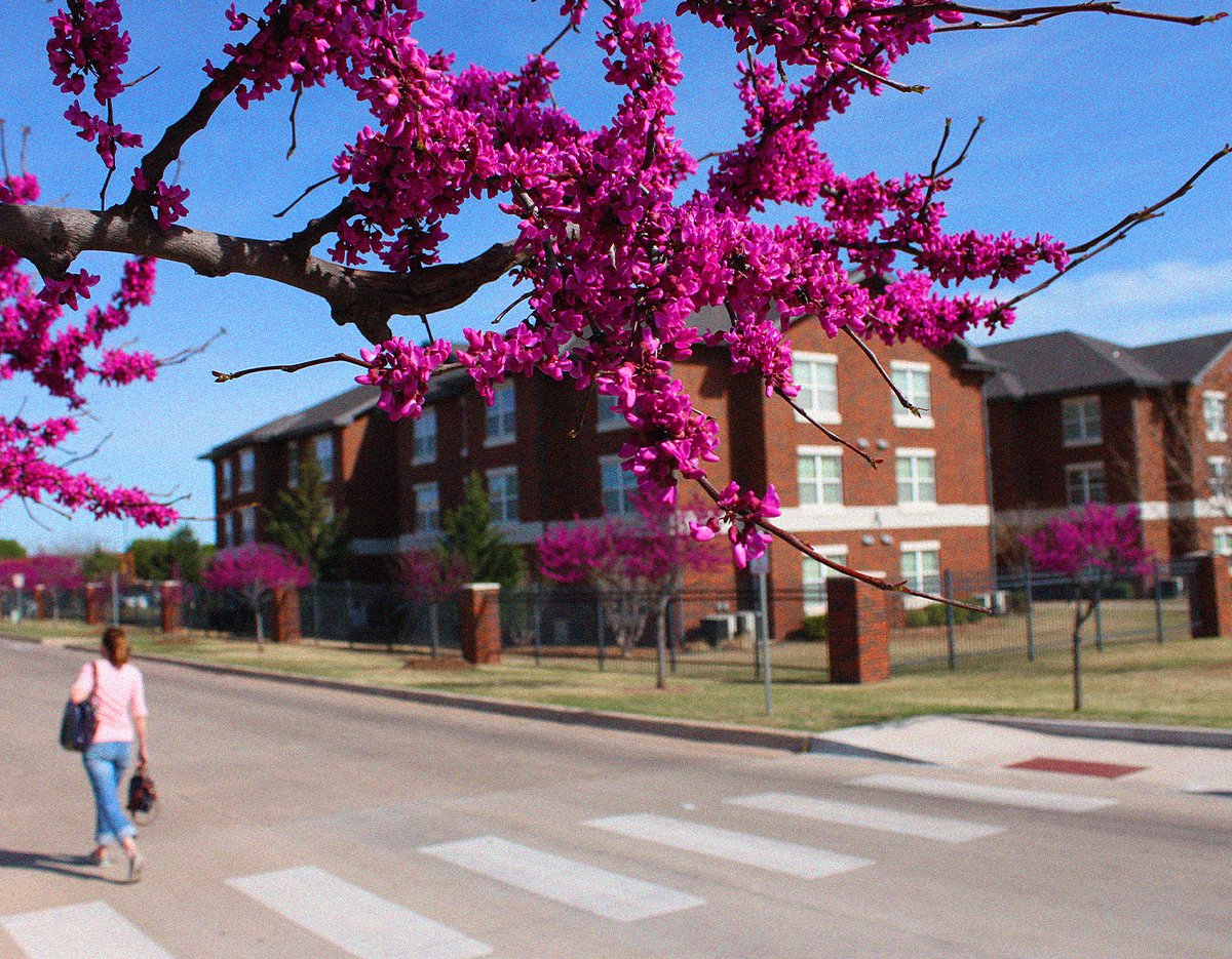 OK Higher Ed tweet media