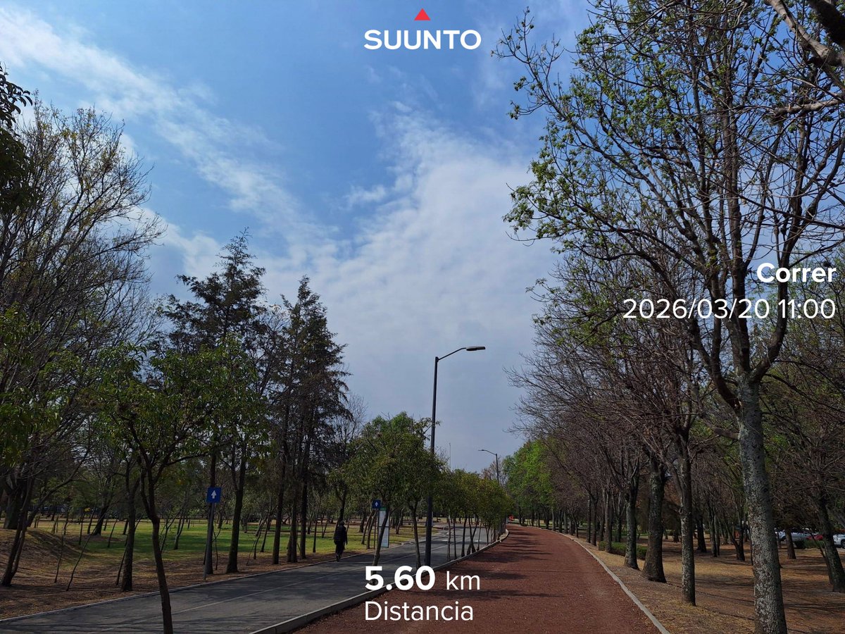 Gabrielle Valle tweet media