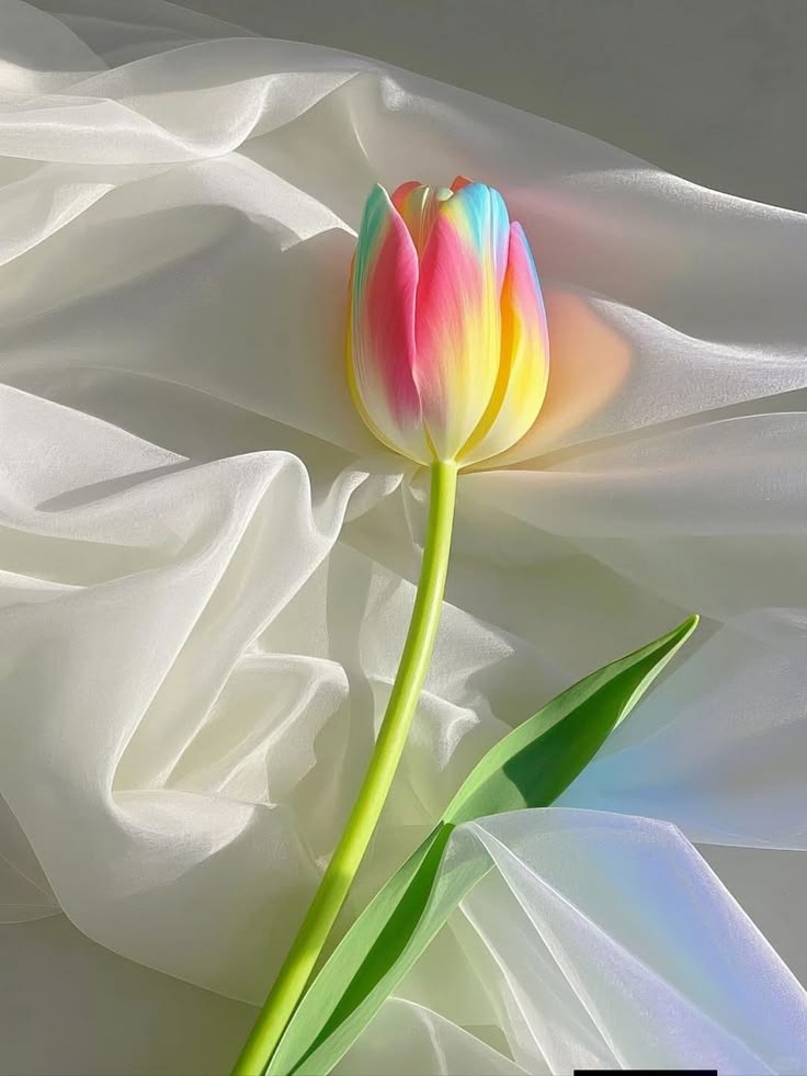 ๐๐ : ๐๐ tweet media