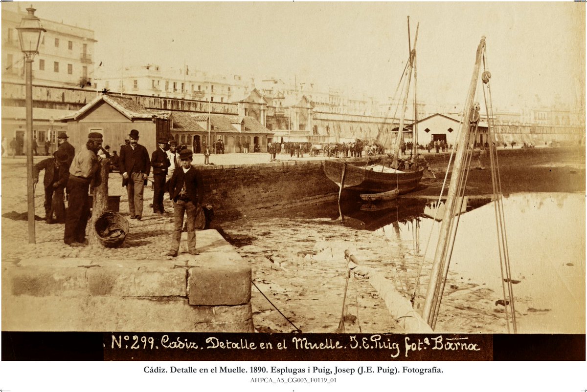 Archivo Histórico Provincial de Cádiz tweet media