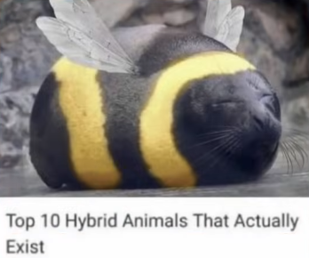 Rei. | 🎃 tweet media