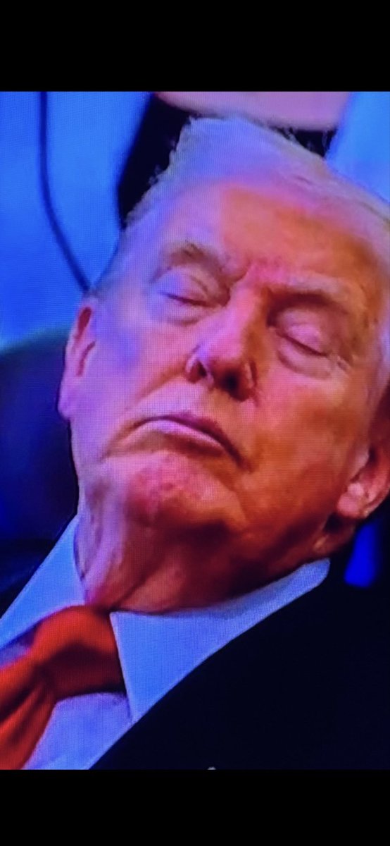 Dr Cat Astrophe PhD tweet media