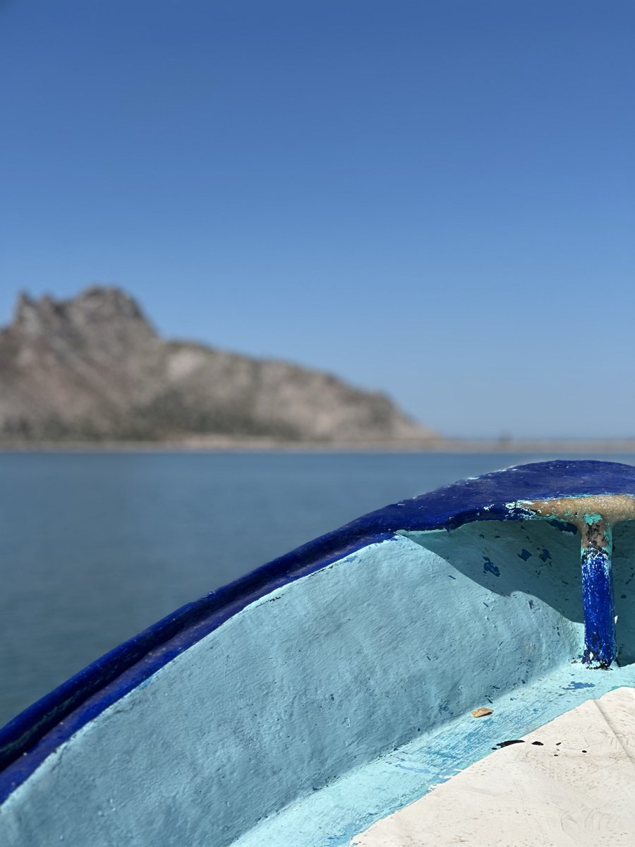 Michelle Rivera tweet media