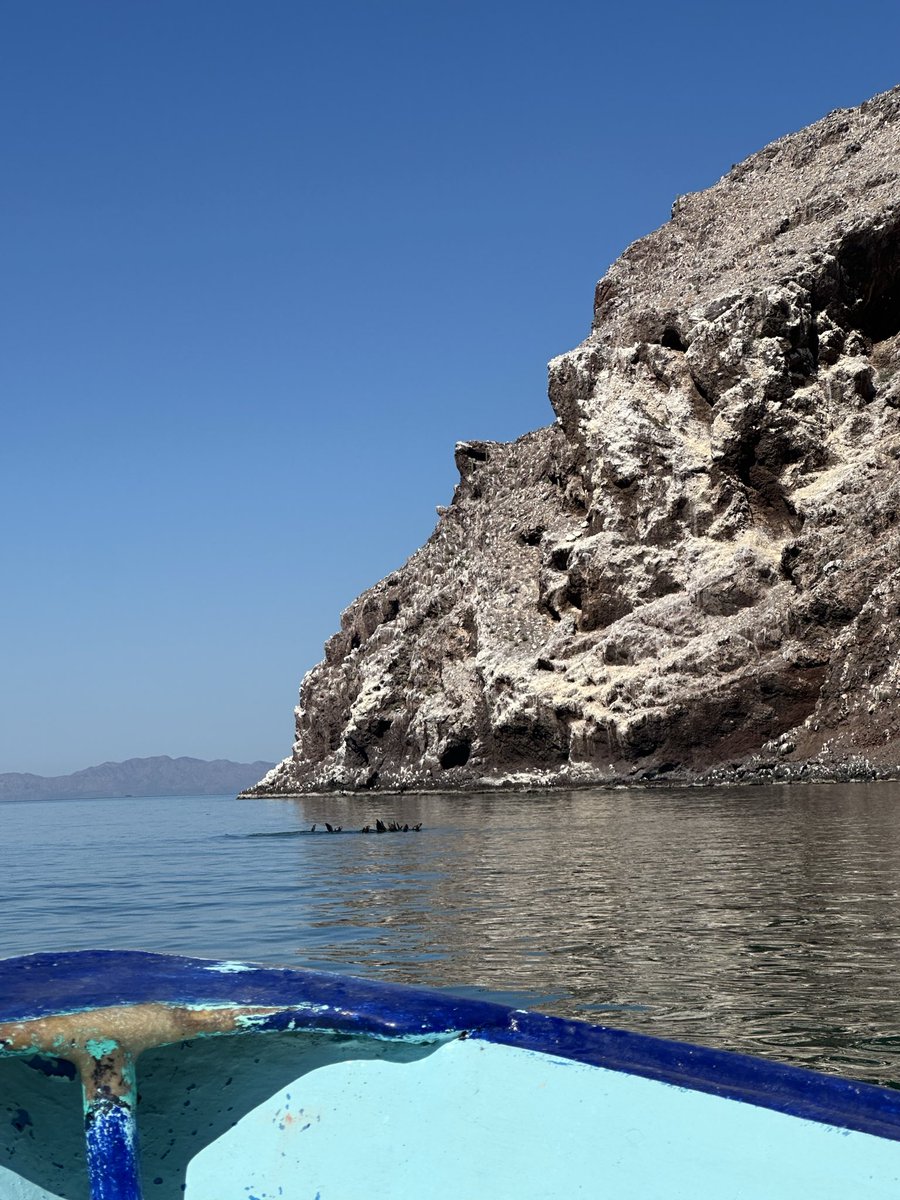 Michelle Rivera tweet media