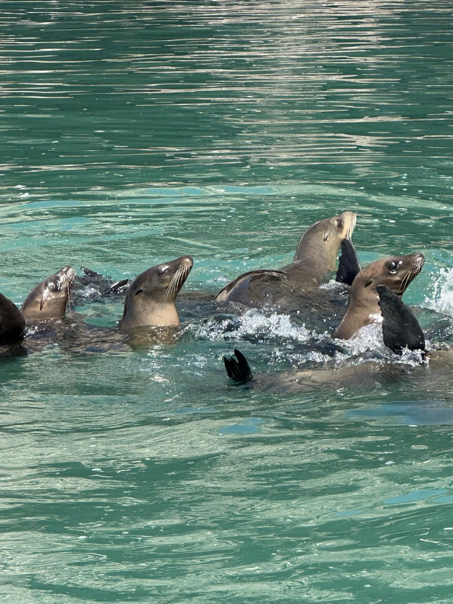 Michelle Rivera tweet media