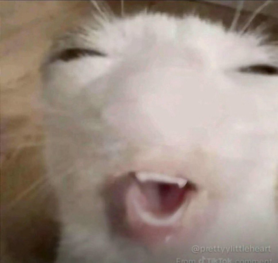 Danie Boutilier tweet media