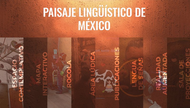 INALIMEXICO tweet media