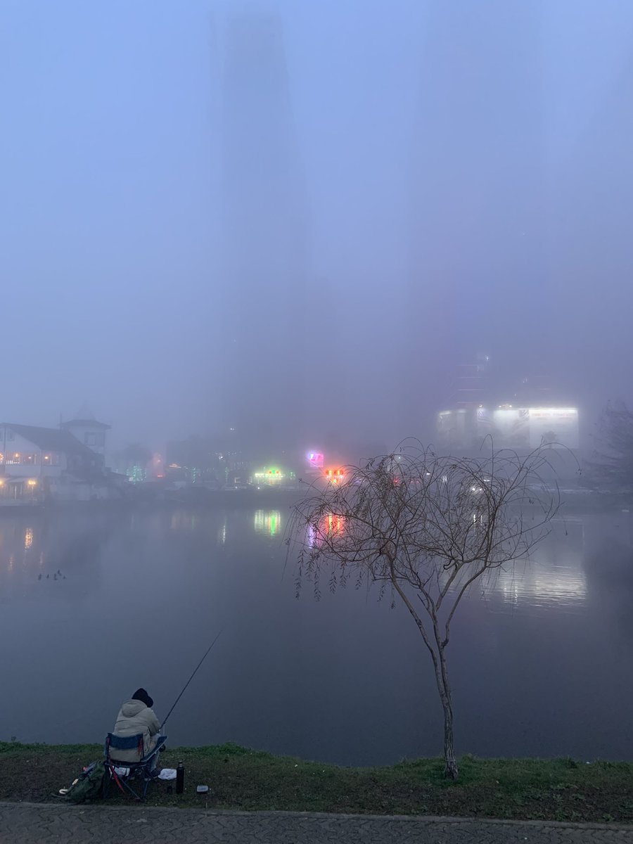 Ди Курцман tweet media