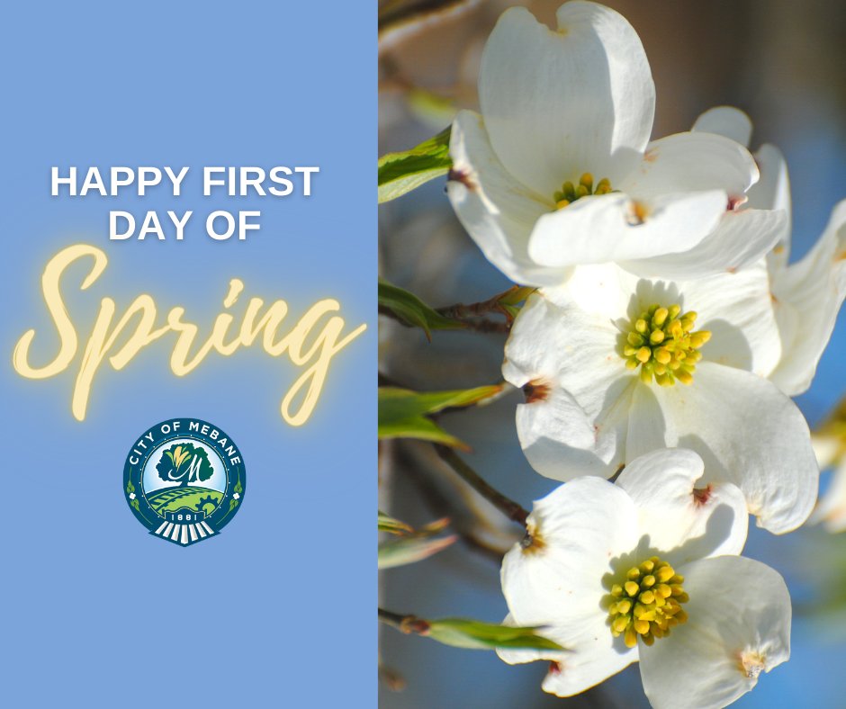 Mebane Recreation and Parks Department tweet media