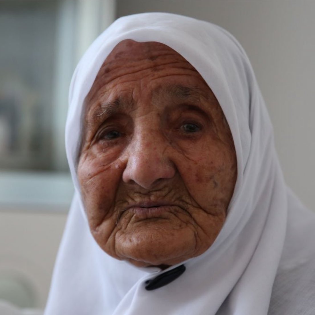 Gusholder Haber Bülteni tweet media