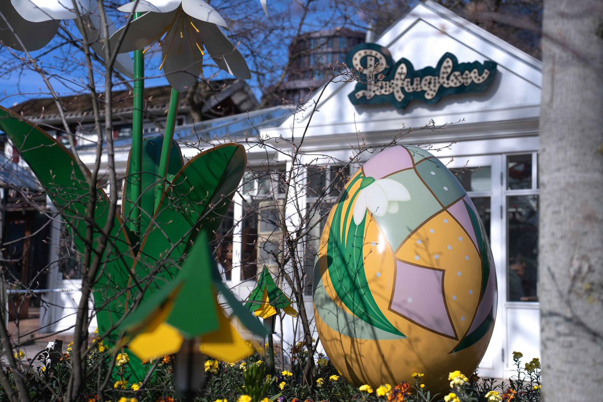 Torben Plank tweet media