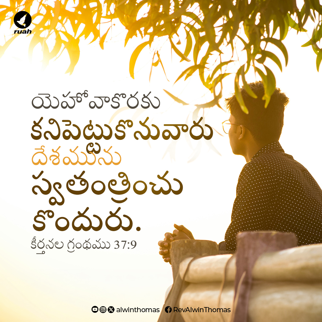 Alwin Thomas tweet media