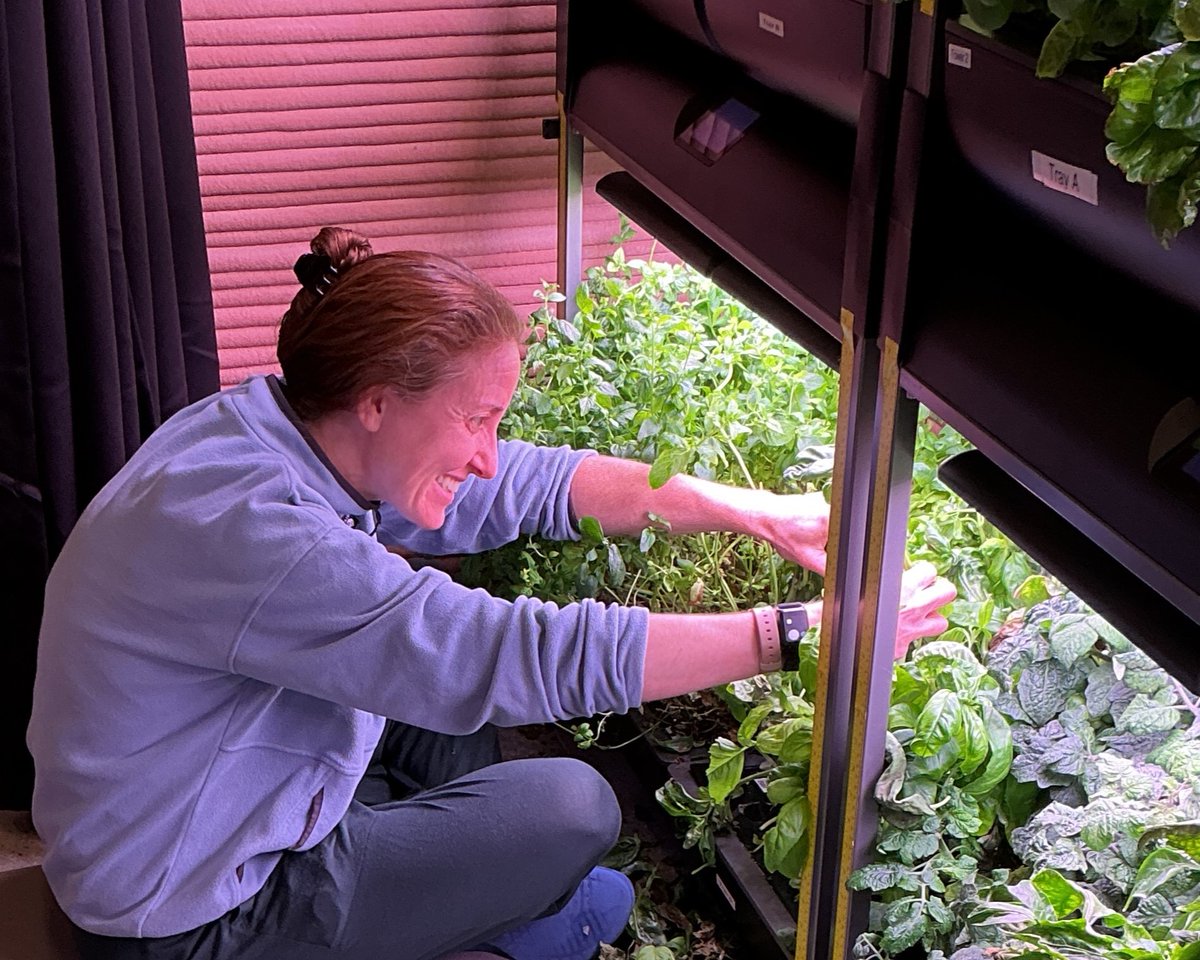NASA_Johnson's tweet image. Working in your garden on this first day of spring? 🌱

We are too! Here, crew inside CHAPEA, NASA’s yearlong Mars simulation, tend to their hydroponic crop system. Their work helps us evaluate how plants may impact the physical &amp;amp; mental health of crews headed to deep space!