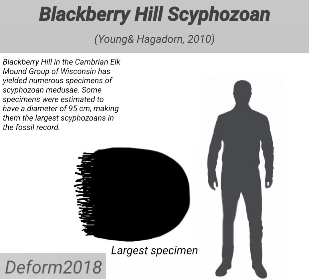 Deform 2026 tweet media