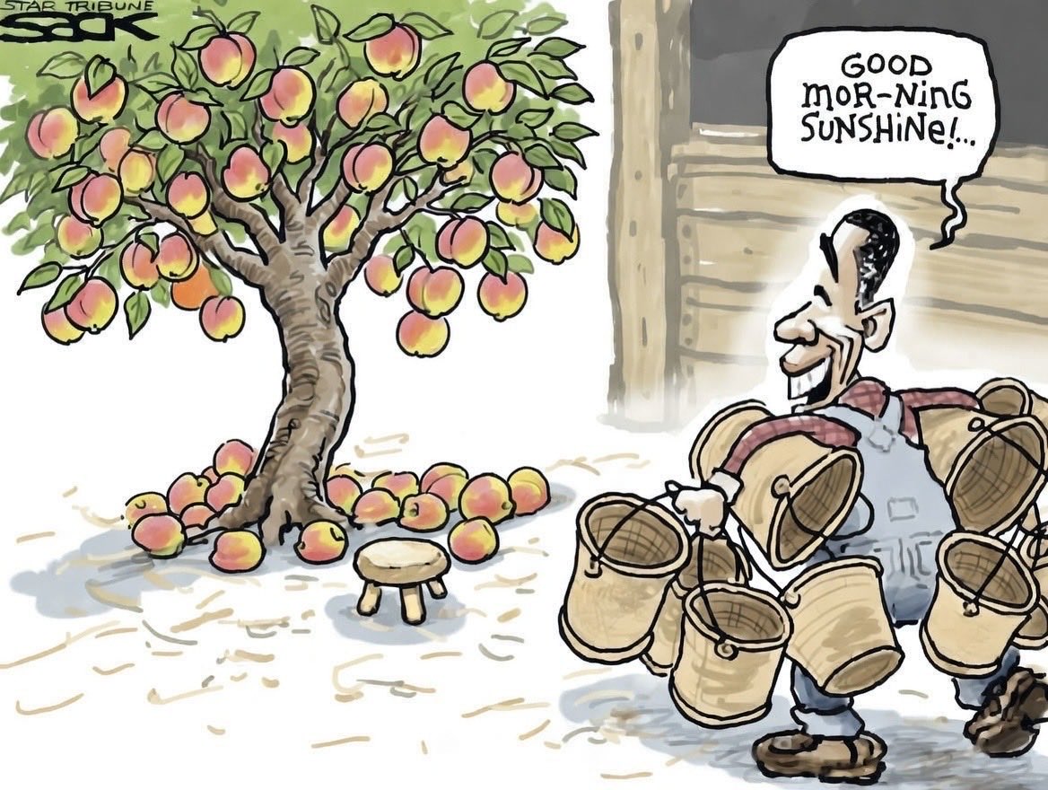 HowlingTrad tweet media