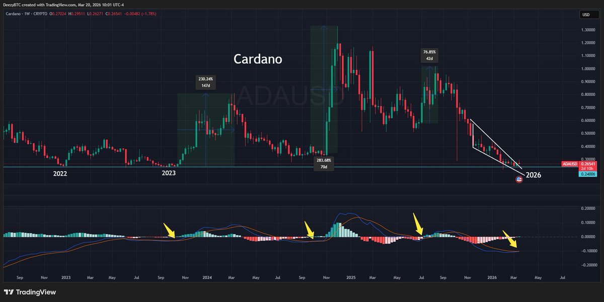 Deezy (Nick Valdez) tweet media