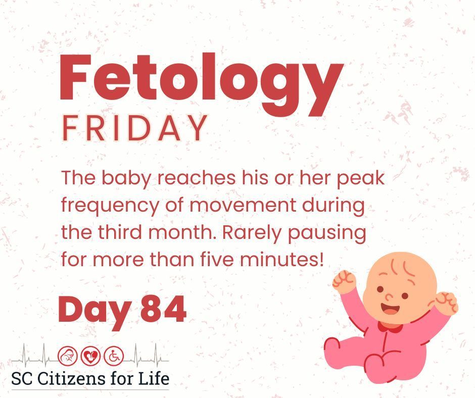 SC Citizens for Life tweet media