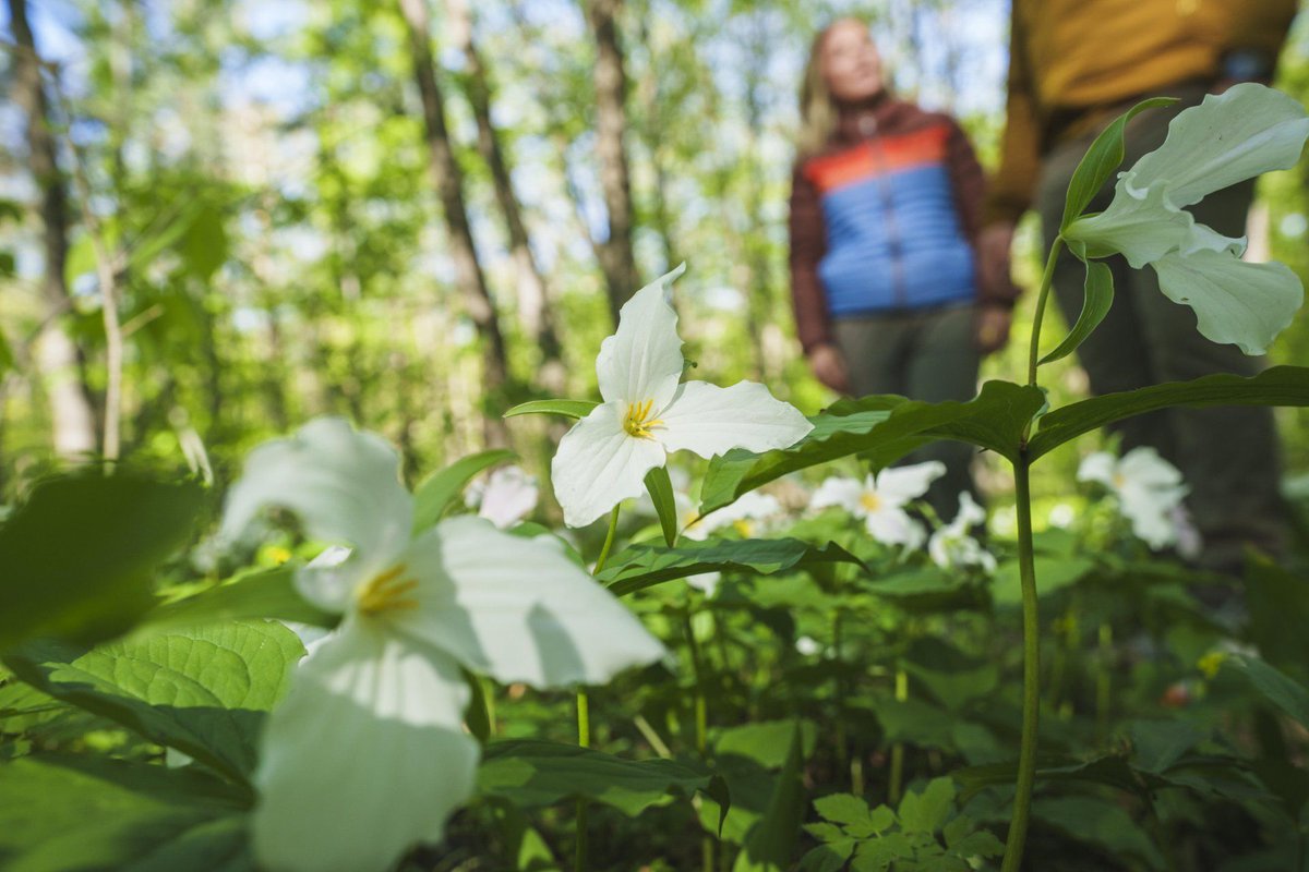 PetoskeyArea's tweet photo. Although it might not look like it just yet... it's the first official day of spring! Start making your to-do list π± π΄
#FirstDayofSpring #PureMichigan #SpringinMichigan #PetoskeyStones
https://t.co/wQ2N5gUTAA https://t.co/l3uM4ZTLqt